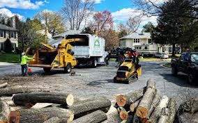 Best Lawn Renovation and Restoration  in Houston, PA