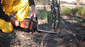 Best Lawn Irrigation Installation and Maintenance  in Houston, PA