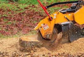 How Our Tree Care Process Works  in  Houston, PA