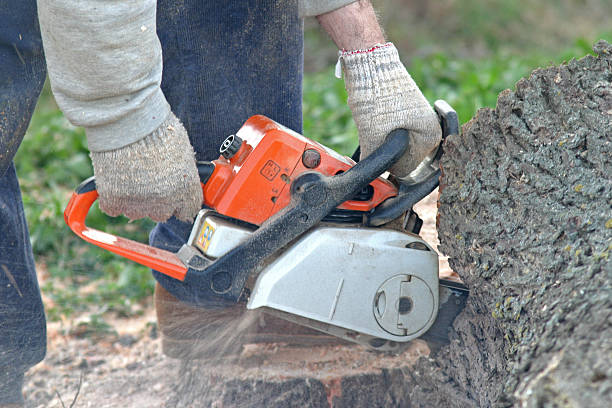 Lawn Watering Services in Houston, PA